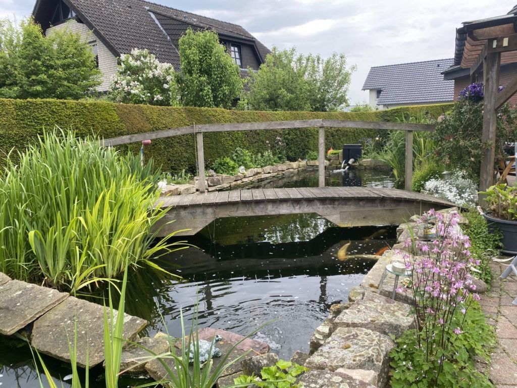 Gartenteich in Brakel Brakeler Tierwelt