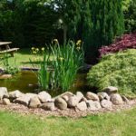 Beautiful classical garden fish pond surrounded by grass gardening background