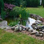 Beautiful classical garden fish pond surrounded by grass gardening background